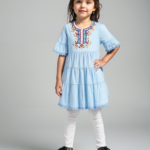 Blue Embroidered Frock (Imported)