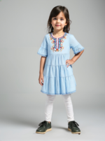 Blue Embroidered Frock (Imported)