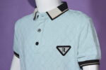 Sky Blue Textured Polo (Imported) - Image 5