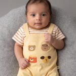 Beige Lining Dungaree (Premium Cotton) - Imported