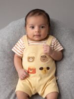 Beige Lining Dungaree (Premium Cotton) - Imported